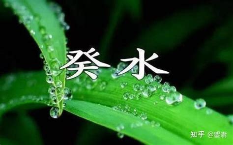 葵水 意思|癸水详解